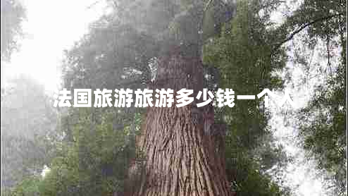 法國旅游旅游多少錢一個人 法國旅游旅游多少錢一個人