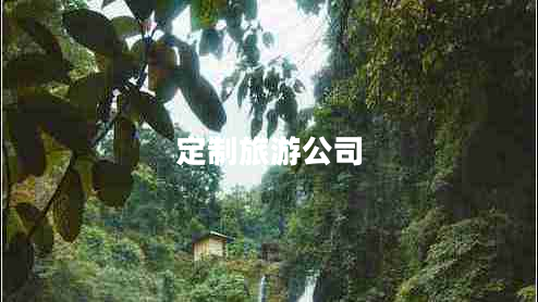 定制旅游公司