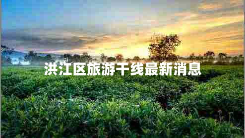 洪江區(qū)旅游干線最新消息