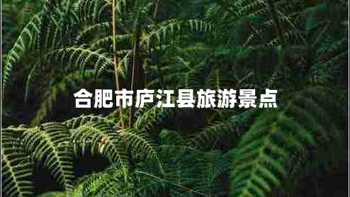 合肥市廬江縣旅游景點