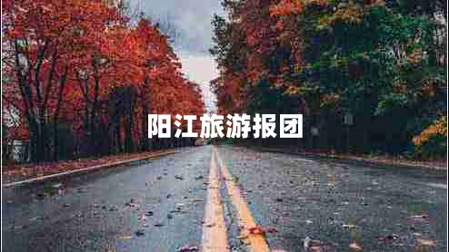 陽江旅游報團(tuán) 陽江旅游報團(tuán)