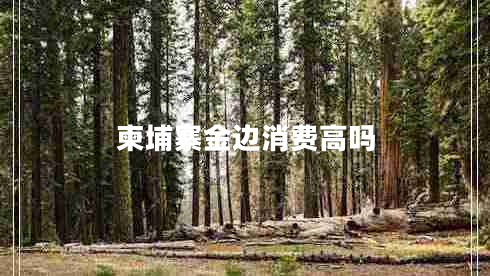 柬埔寨金邊消費(fèi)高嗎