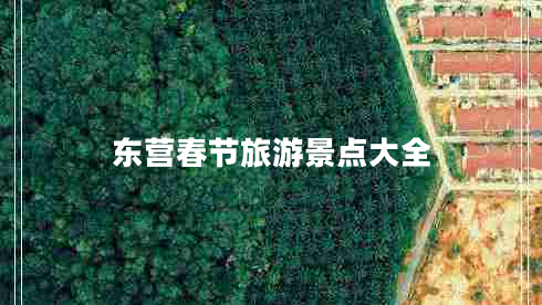 東營(yíng)春節(jié)旅游景點(diǎn)大全