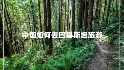 中國(guó)如何去巴基斯坦旅游 中國(guó)如何去巴基斯坦旅游