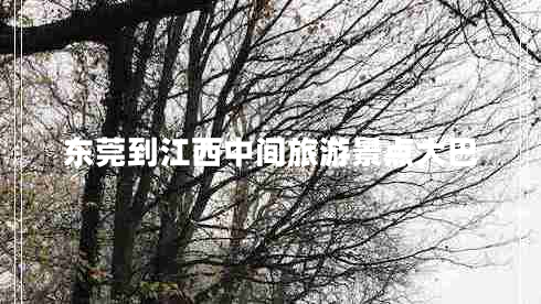 東莞到江西中間旅游景點大巴