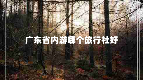 廣東省內(nèi)游哪個(gè)旅行社好