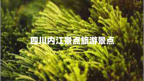四川內(nèi)江景點旅游景點 四川內(nèi)江景點旅游景點