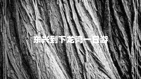 東興到下龍灣一日游 東興到下龍灣一日游