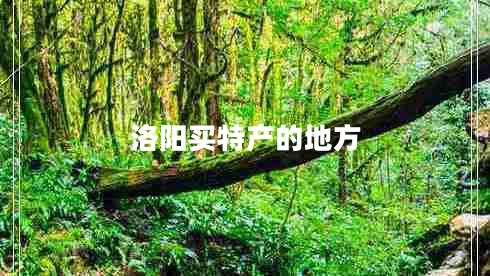 洛陽買特產(chǎn)的地方 洛陽買特產(chǎn)的地方