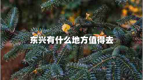 東興有什么地方值得去 東興有什么地方值得去