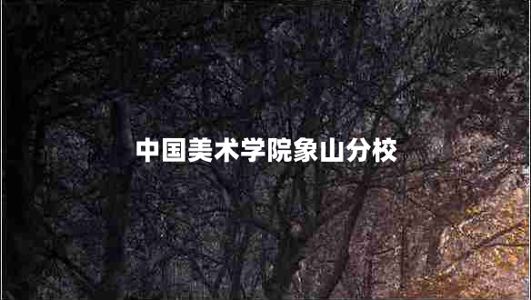 中國(guó)美術(shù)學(xué)院象山分校