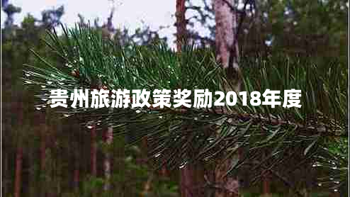 貴州旅游政策獎(jiǎng)勵(lì)2018年度 貴州旅游政策獎(jiǎng)勵(lì)2018年度
