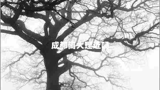 成都離大理近嗎 成都離大理近嗎