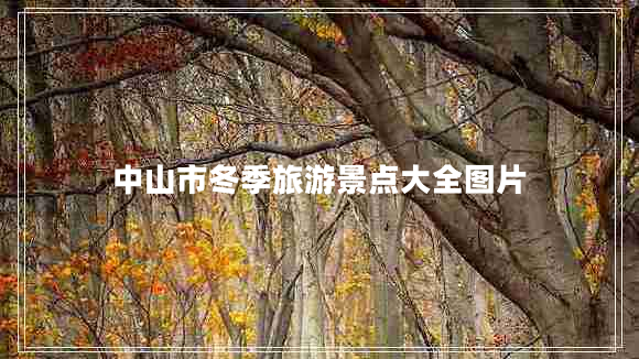 中山市冬季旅游景點大全圖片 中山市冬季旅游景點大全圖片