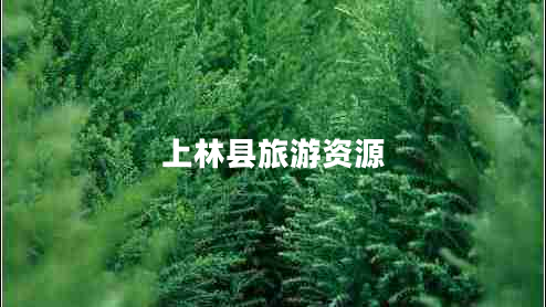 上林縣旅游資源 上林縣旅游資源