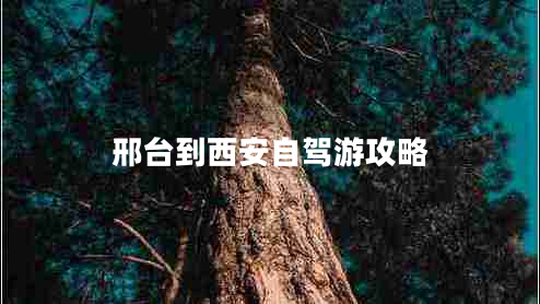 邢臺到西安自駕游攻略 邢臺到西安自駕游攻略