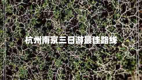 杭州南京三日游最佳路線 杭州南京三日游最佳路線