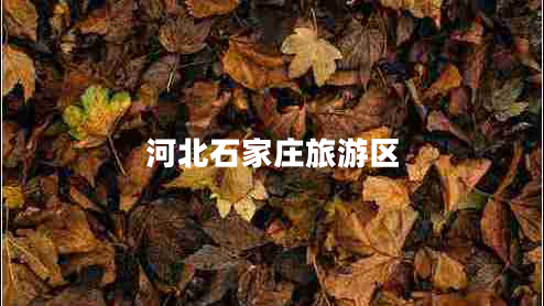河北石家莊旅游區(qū) 河北石家莊旅游區(qū)