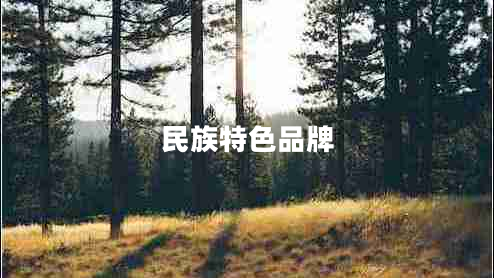 民族特色品牌