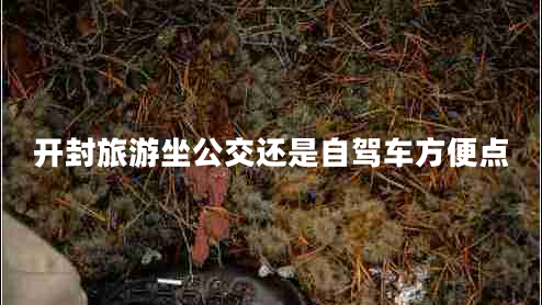 開封旅游坐公交還是自駕車方便點