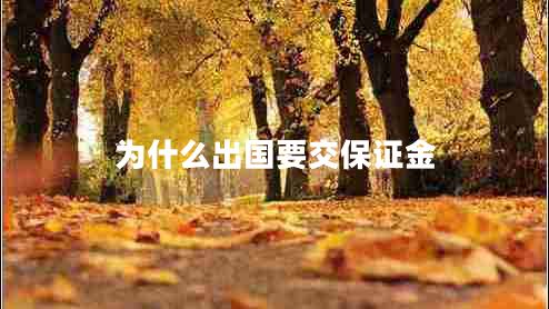 為什么出國(guó)要交保證金 為什么出國(guó)要交保證金