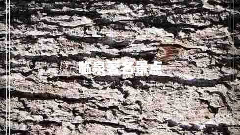 臨泉著名景點 臨泉著名景點