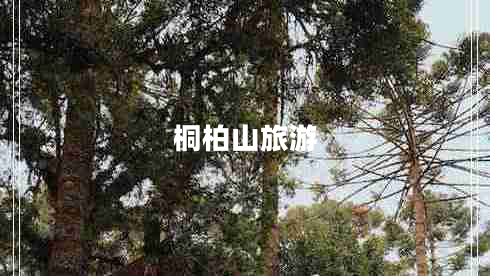 桐柏山旅游 桐柏山旅游