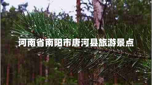 河南省南陽市唐河縣旅游景點