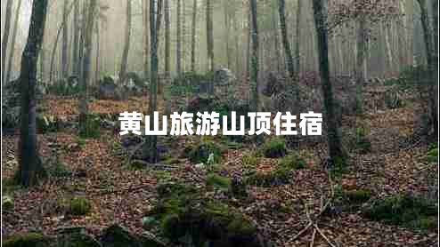 黃山旅游山頂住宿 黃山旅游山頂住宿