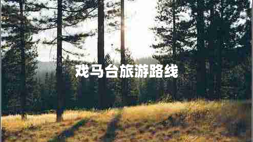 戲馬臺(tái)旅游路線 戲馬臺(tái)旅游路線