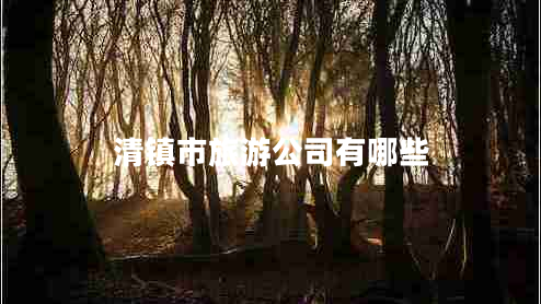 清鎮(zhèn)市旅游公司有哪些