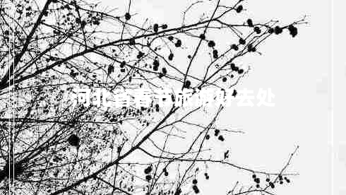 河北省春節(jié)旅游好去處 河北省春節(jié)旅游好去處