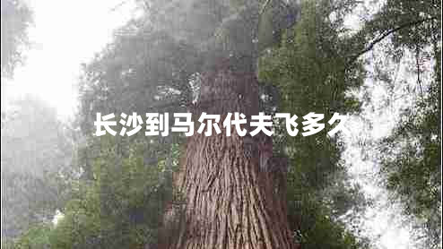 長沙到馬爾代夫飛多久