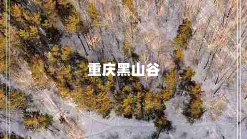 重慶黑山谷 重慶黑山谷