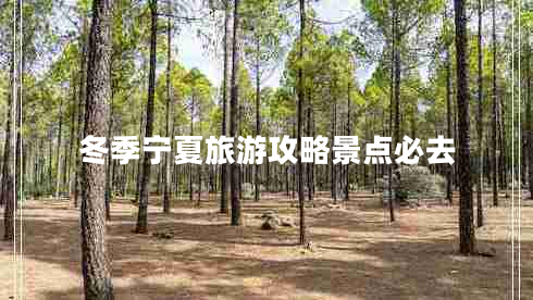 冬季寧夏旅游攻略景點(diǎn)必去 冬季寧夏旅游攻略景點(diǎn)必去