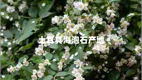 土耳其海泡石產(chǎn)地 土耳其海泡石產(chǎn)地