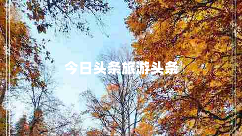 今日頭條旅游頭條