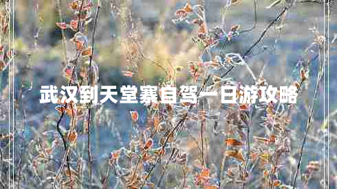 武漢到天堂寨自駕一日游攻略