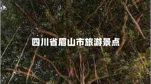四川省眉山市旅游景點(diǎn) 四川省眉山市旅游景點(diǎn)