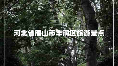 河北省唐山市豐潤(rùn)區(qū)旅游景點(diǎn) 河北省唐山市豐潤(rùn)區(qū)旅游景點(diǎn)