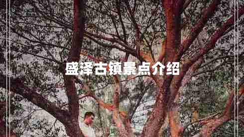 盛澤古鎮(zhèn)景點(diǎn)介紹