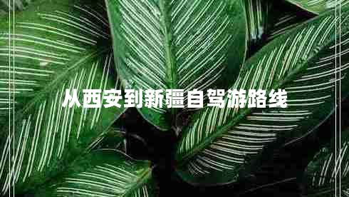 從西安到新疆自駕游路線