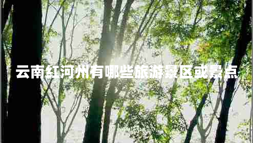 云南紅河州有哪些旅游景區(qū)或景點(diǎn) 云南紅河州有哪些旅游景區(qū)或景點(diǎn)