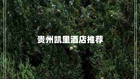 貴州凱里酒店推薦 貴州凱里酒店推薦