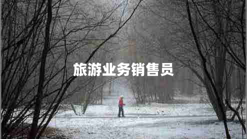 旅游業(yè)務(wù)銷售員 旅游業(yè)務(wù)銷售員
