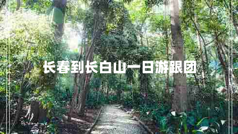 長春到長白山一日游跟團(tuán) 長春到長白山一日游跟團(tuán)