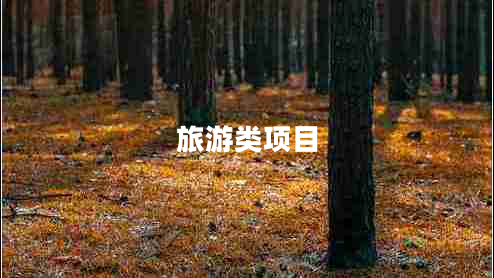 旅游類項目 旅游類項目