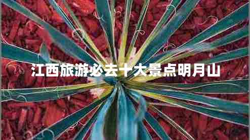 江西旅游必去十大景點(diǎn)明月山 江西旅游必去十大景點(diǎn)明月山