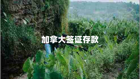 加拿大簽證存款 加拿大簽證存款