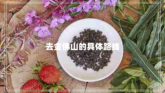 去金佛山的具體路線